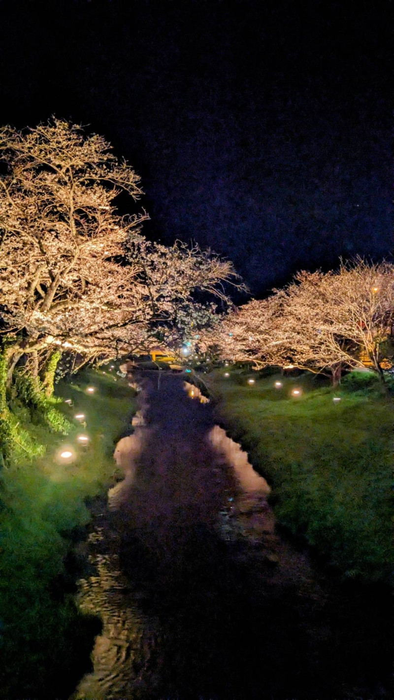 あきなの写メ